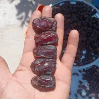 خرمای کبکاب درجه یک|عمده‌فروشی|بوشکان, |دیوار