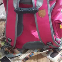 کیف و کوله حمل حیوان گربه و سگ