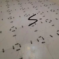 کاشی کاری و سرامیک|خدمات پیشه و مهارت|ایلام, |دیوار