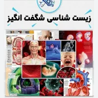 تدریس خصوصی