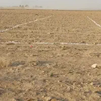 زمین بحر جاده اصلی قنوات به نواران|فروش زمین و ملک کلنگی|قنوات, |دیوار