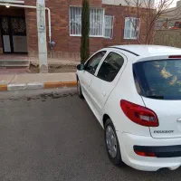 ۲۰۷ تمام رنگ