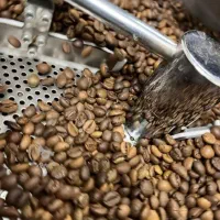 فروش ویژه دان قهوه مستقیم از وارد کننده