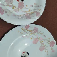 ظروف متنوع