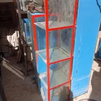 اکواریوم.ماسه.مرجان