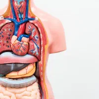 تدریس زیست توسط دانشجو پزشکی