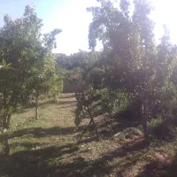 باغ فروشی|فروش دفتر صنعتی، کشاورزی، تجاری|مشهد, کارده|دیوار