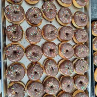 تولیدوپخش پیراشکی فطیر کیک یزدی زولبیابامیه