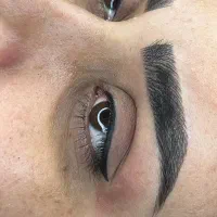 فیبروز خطچشم شیدینگ لب|خدمات آرایشگری و زیبایی|تهران, قیطریه|دیوار