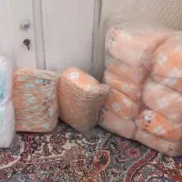 مای بی بی