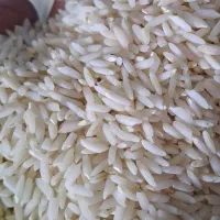 برنج محلی سالم بوجاری شده درروستا