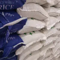 برنج اصل و خالص شمال را از مابخواهید