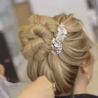 نیازمند مدل شنیون