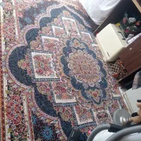 فرش ۵۰۰ شونه|فرش|ابهر, |دیوار