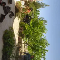 باغ ویلا 500متری