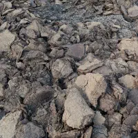 کود حیوانی ( پهن )