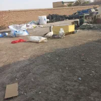 تعویض با مرغ هم می‌کنم|حیوانات مزرعه|کهک, |دیوار