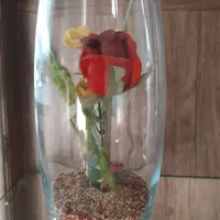 دکوری زیبا و سالم|صنایع دستی و سایر لوازم تزئینی|همدان, |دیوار