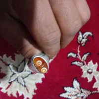 باباقوری کهنه