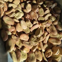 باقله محلی رومز