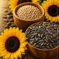 فروش عمده ی تخمه ی آفتابگردان