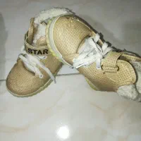 کفش بچه گانه با تخفیف|کفش و لباس بچه|باقرشهر, |دیوار