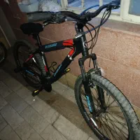 دوچرخه ویوا