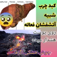 همایش مشاوره رایگان زبان‌شناسی