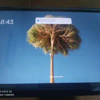 تبلت شیائومی|تبلت|شیراز, فرگاز|دیوار