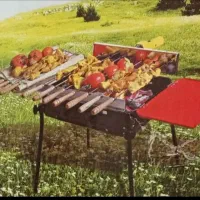 کباب پز پلین نو