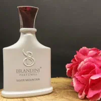 خوشبوترین ادکلن برندینی همگام شما در طبیعت|آرایشی، بهداشتی، درمانی|همدان, |دیوار