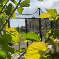 باغ ویلا دریابک‌ (اب برق گاز )دارد سند سبز تک برگ