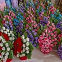 استخدام5نفرهمکارخانم جهت کار در تولیدی گل مصنوعی