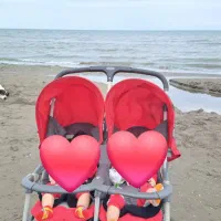 کالسکه دوقلو