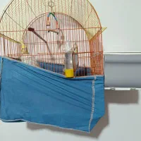 عروس هلندی|پرنده|خلیفان, |دیوار