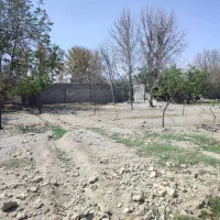 باغچه ۵۰۰ متری زیبادشت زیر قیمت|فروش زمین و ملک کلنگی|محمدشهر, زیبادشت|دیوار