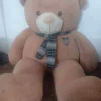 خرس بزرگ ۲ متری