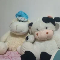 حراج کلی عروسک سالم خارجی