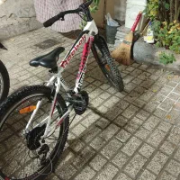 دو عدد دوچرخه نو نو|دوچرخه، اسکیت، اسکوتر|مشهد, شهید آوینی|دیوار