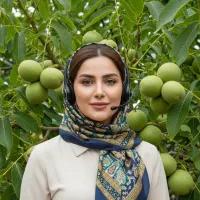 فروش نهال گردو چندلر با باربری از سال اول کاشت