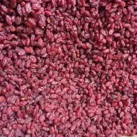 زرشک|خوردنی و آشامیدنی|قرچک, مهدیه|دیوار