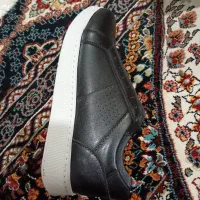 کفش مردانه|کیف، کفش، کمربند|فلاورجان, |دیوار