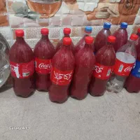 رب خانگی ۱۵ عدد