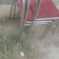 صندلی درحد نو|صندلی و نیمکت|شیراز, گچی|دیوار