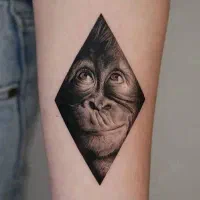 مدل تتو|خدمات آرایشگری و زیبایی|شیراز, ابیوردی|دیوار