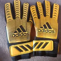 کفش ورزشی و دستکش دروازبانی|کیف، کفش، کمربند|کرمان, |دیوار