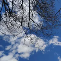 خط همراه اول