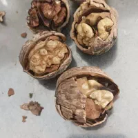 گردوی لرستان خوشمزه حراج|خوردنی و آشامیدنی|قم, انسجام|دیوار
