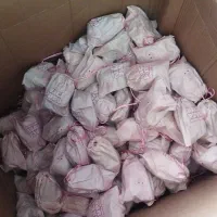 لبوبو،استیج وفقدعمده ارسال ازکاشان|اسباب‌‌بازی|ری, صالح‌آباد شرقی|دیوار