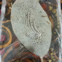 عسل درمانی کنار